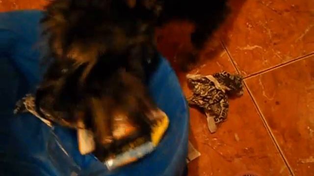 Мусоросборник. смотреть онлайн