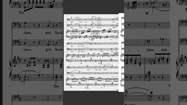 franz abt 3 Duetten für Bariton und Bass, Op.491 смотреть онлайн