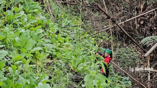 confide in Uyen and dig the future house's foundation - harvest vegetables to sell at the market