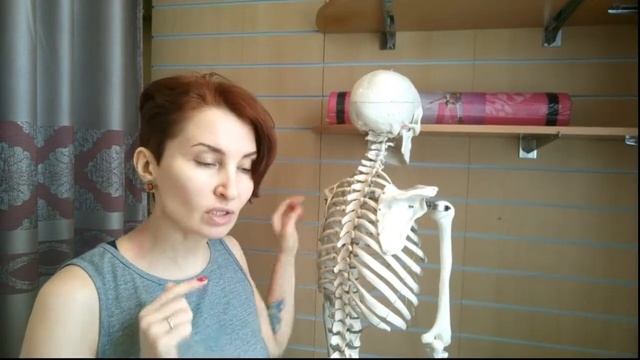Почему мы чувствует седьмой шейный позвонок смотреть онлайн