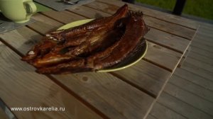 Отдых и аренда гостевого домика на берегу Ладожского озера