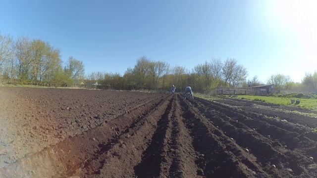 Лошадью хожу смотреть онлайн