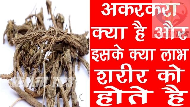अकरकरा के फ़ायदे | Akarkara(Anacyclus Pyrethrum) Benefits & Use in Hindi смотреть онлайн