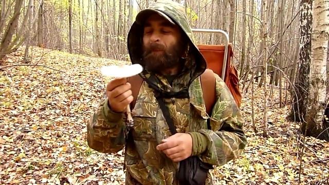 Дед-Грибоед смотреть онлайн