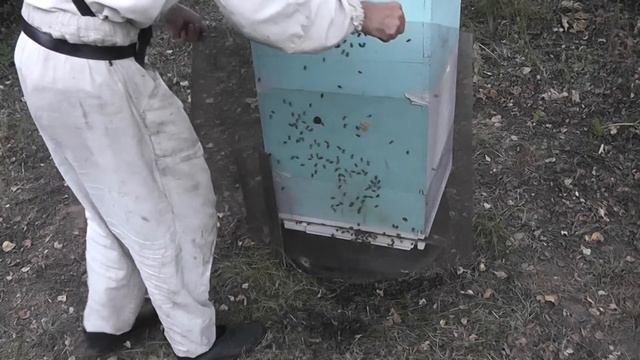 способ остановить напад пчёл на какую то семью смотреть онлайн