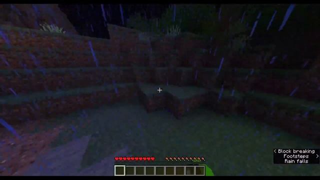 Playing Minecraft Ok !!!!??!