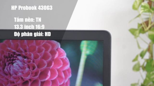 Review HP Probook 430 G3 SIÊU NHẸ 1,4kg, bảo hành trọn đời, Win 10 bản quyền смотреть онлайн
