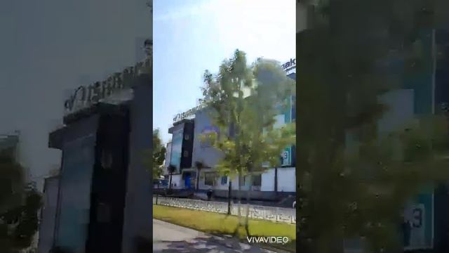 Наш любимый Гулистан