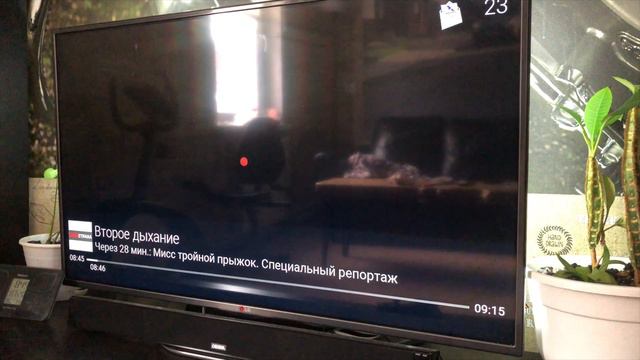 Рэд Медиа и Триколор все таки договорились! Весь спорт вообще на халяву. смотреть онлайн