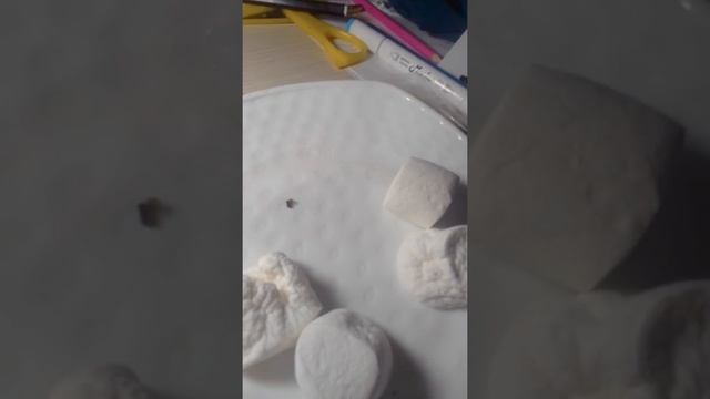 маршмэлки который в микроволновке приготовились смотреть онлайн
