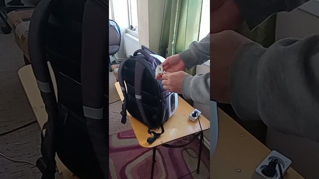 Рюкзак-переноска для кота или маленькой собачки смотреть онлайн