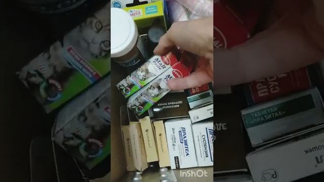 Зоомагазин ЗООМИР помогает Витебскому приюту для бездомных животных Добрик смотреть онлайн