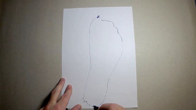 How To Measure Foot Length? (foot Size In Centimeters)