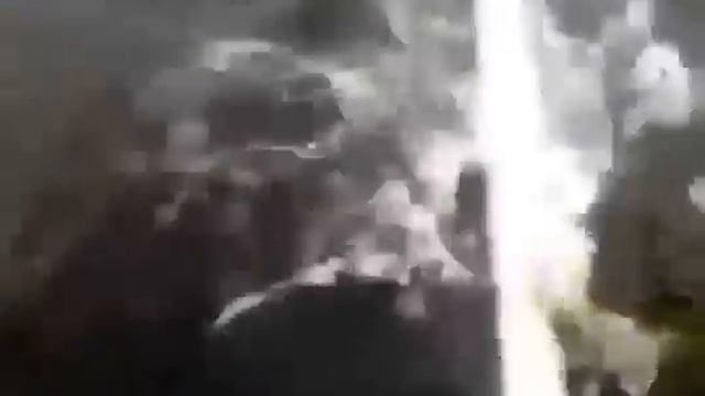 Рыба плавает по дороге, Это надо видеть!!!) смотреть онлайн