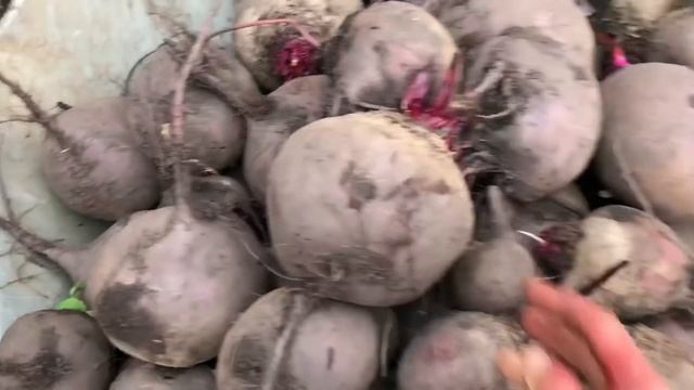 Осенняя палитра для сыроядения. смотреть онлайн