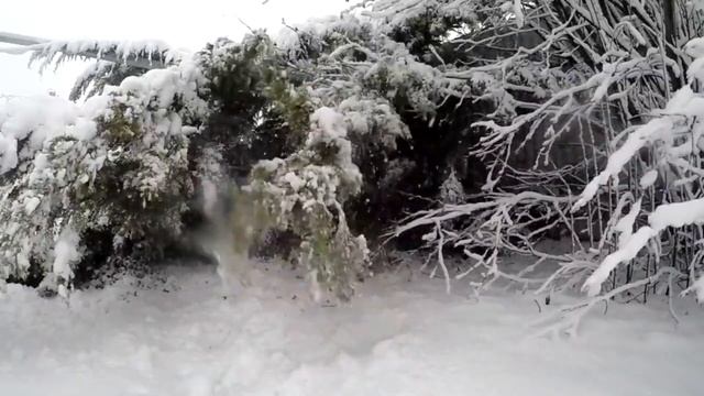 ⚠️Как правильно купаться в проруби на Крещение и когда в 2022 году смотреть онлайн