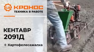 Картофелесажалка в работе