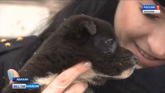 Полиция на транспорте обратилась к общественности с неожиданной просьбой. 24.01.2019 смотреть онлайн