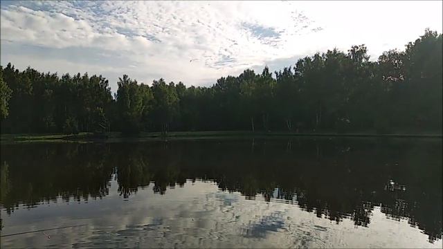 Утренний обзор с Нижнего пруда. Клёвое место Лосиный остров. смотреть онлайн