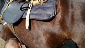 Правильное седлание кавалерийского (драгунского) седла на лошадь