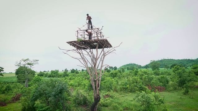 How To Build House On The Tree 12m And Swimming Pool [ Part I ] смотреть онлайн
