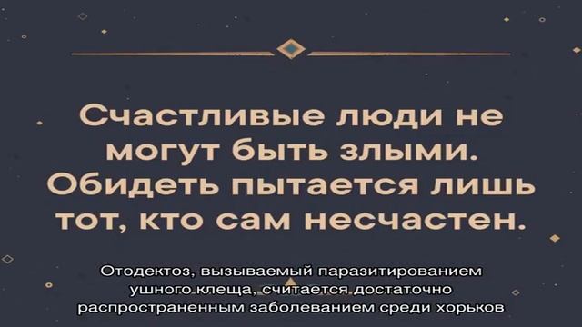 Из-за чего хорек чешется и что с этим делать? смотреть онлайн