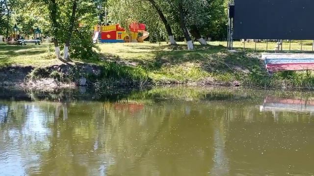 #природа смотреть онлайн