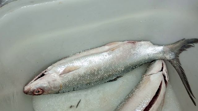 МОЛОЧНАЯ РЫБА холодного копчения смотреть онлайн