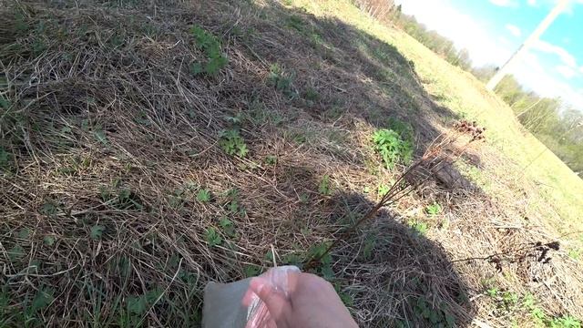 Супер плантация Пистиков! 12 мая 2022 3 часть смотреть онлайн