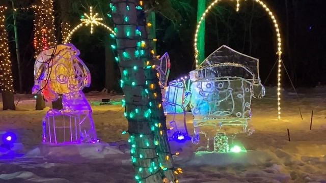 Winter Wonder Forest Edmonton Canada Video | Winter Attractions In Edmonton смотреть онлайн