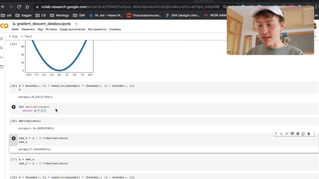 Машинное обучение: градиентный спуск для новичков с практикой в Python смотреть онлайн