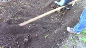 Испытание Электрокультиватора 1300 Вт. Стоит ли покупать???