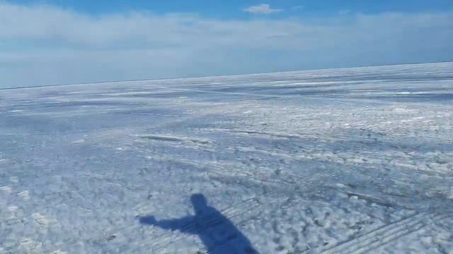 чо клюёт не клюёт смотреть онлайн
