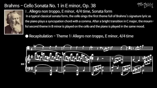 Brahms - Cello Sonata No. 1 in E minor, Op. 38 - Ⅰ. Allegro non troppo_Recapitulation смотреть онлайн