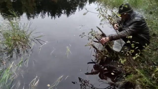 3 января 2022 г.заселяем лесное озеро. смотреть онлайн