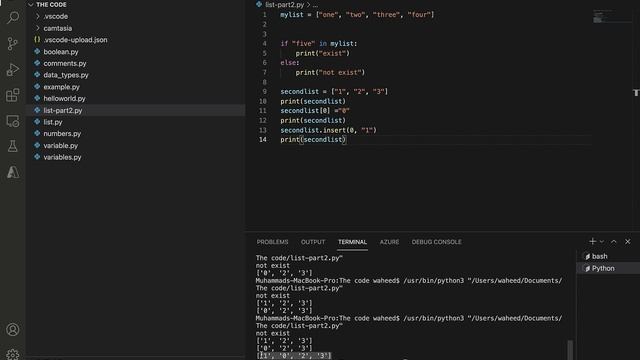 Python list part 2 смотреть онлайн