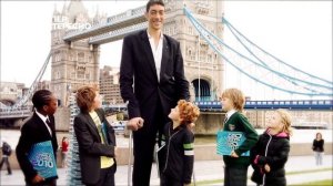 САМЫЙ ВЫСОКИЙ человек в мире. Самые высокие люди в истории!