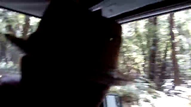 Кипр 16 едем по лесной горной дороге в Кикский монастырь смотреть онлайн