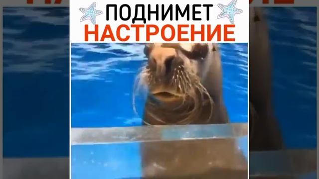 Нет настроение тогда смотри смотреть онлайн