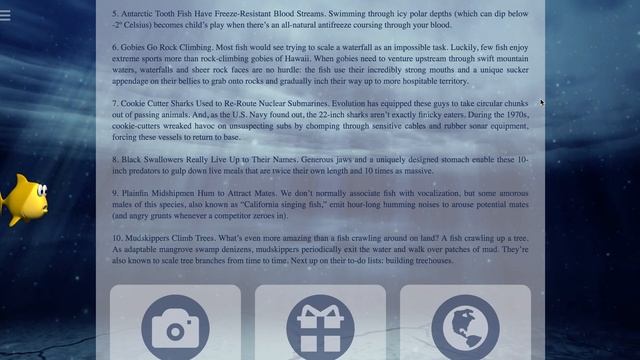 Video background in Web + Bootstrap смотреть онлайн