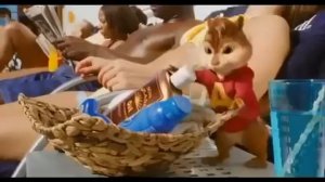 У и УАА Бурундуки