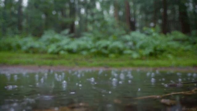 звуки дождя для расслабляющего сна, медитации, бессонницы смотреть онлайн