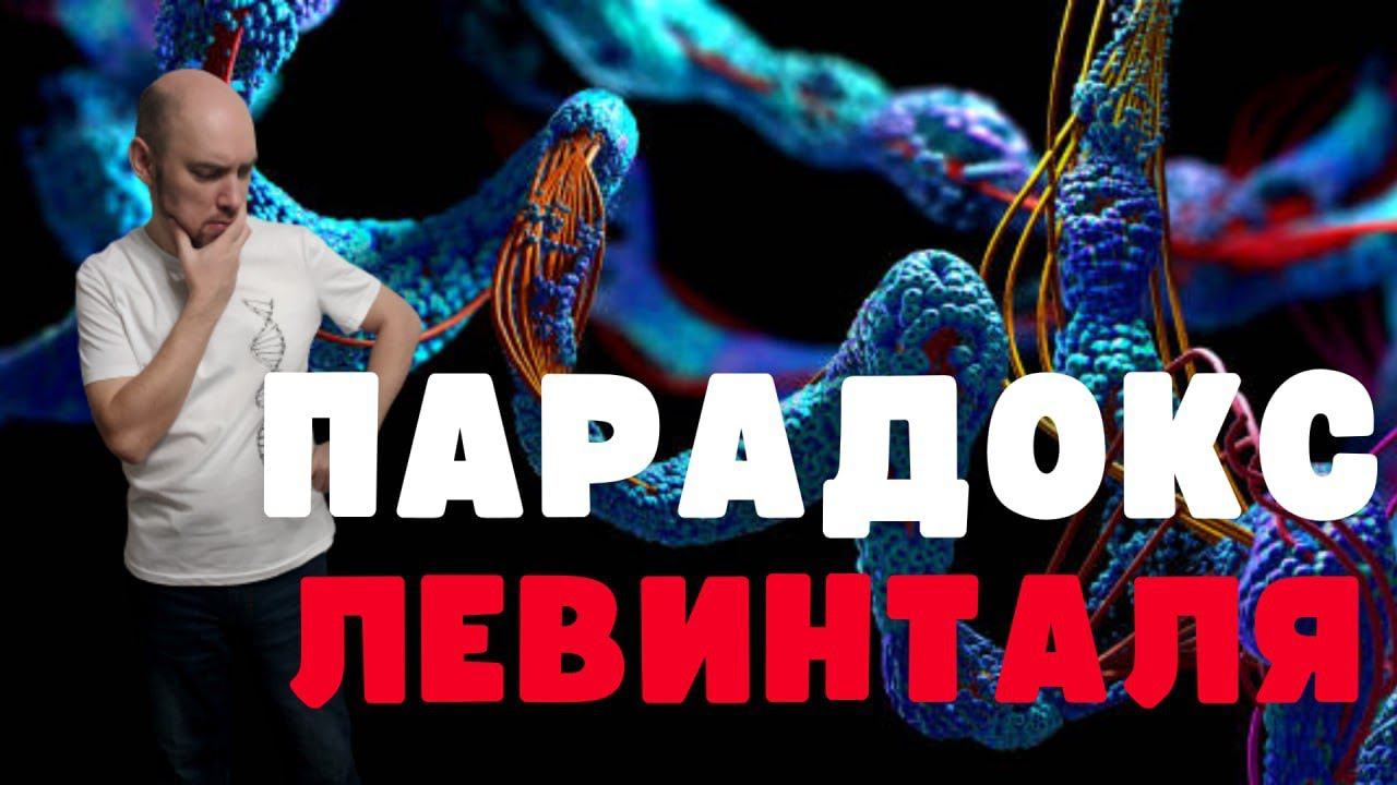 Что такое парадокс Левинталя? Душкин объяснит смотреть онлайн