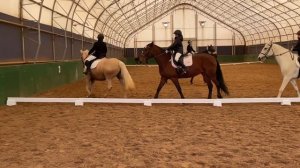 Соревнования по конному спорту M.E. 1.1  #соревнования #конныйспорт