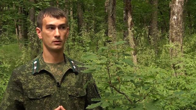 Дубовые веники смотреть онлайн