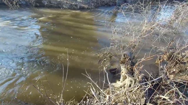 Прогулка веселой компанией по речкам или 260км не крюк))) (видео из архива) смотреть онлайн