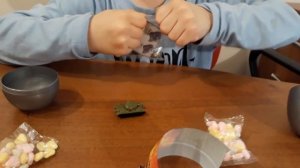 World of Tanks Яйца Ворлд оф Танк с коллекционной моделью танка Мир танков (WoT Surprise eggs)