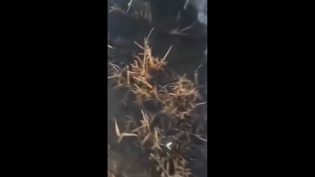 Девушки на рыбалке / Шок рыбалка / Приколы на рыбалке 2023 / Пьяные на рыбалке смотреть онлайн