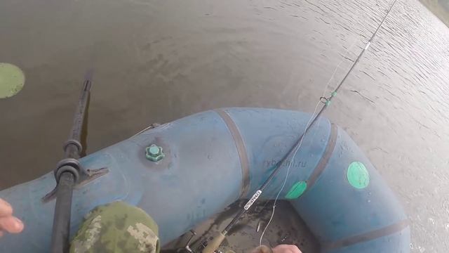 Ловля щуки на спиннинг,на виброхвост.Видео rybachil.ru смотреть онлайн