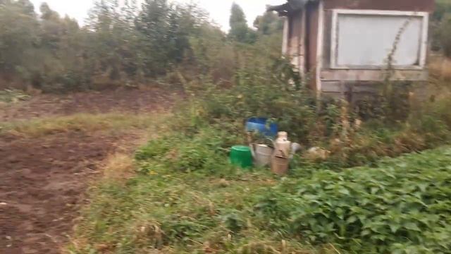 НЕЛЕГКО ПРИХОДИТСЯ МАРИИ ЕГОРОВНЕ!!! смотреть онлайн